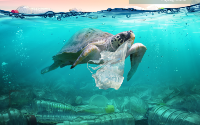 Lo sapevate che nel Pacifico c’è un’isola di plastica, grande quanto la Francia?